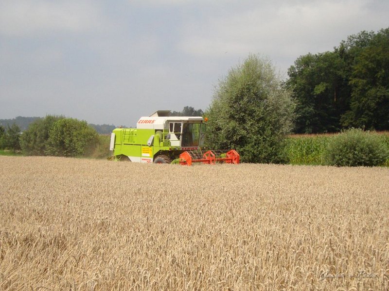 Claas Drescher 48